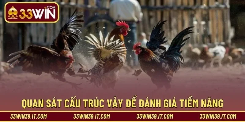 Quan sát cấu trúc vảy để đánh giá tiềm năng