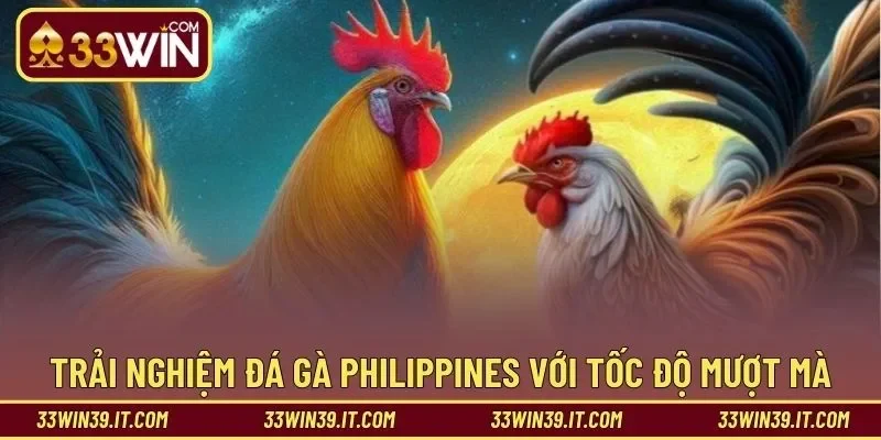 Trải nghiệm đá gà Philippines với tốc độ mượt mà